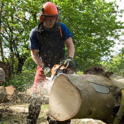 AHCMOM213, FWPCOT2254, FWPCOT2273