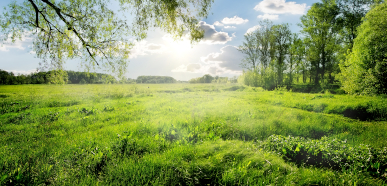 Prescribed Burning & Fuel Management